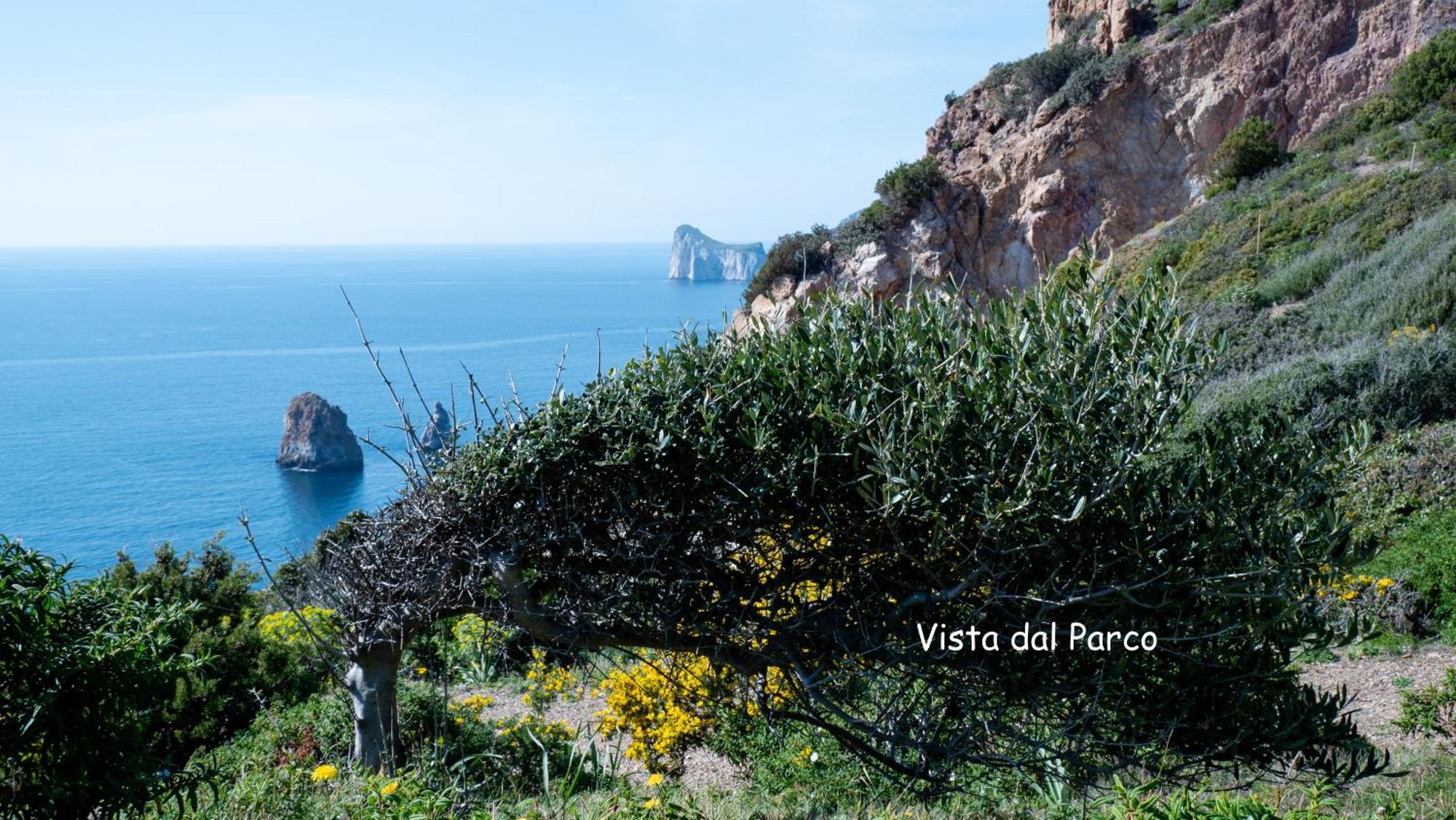 Villa L'Emozione Tanca Piras Nebida Esterno foto